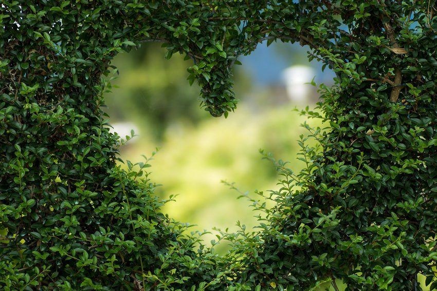 heart-cover-photo