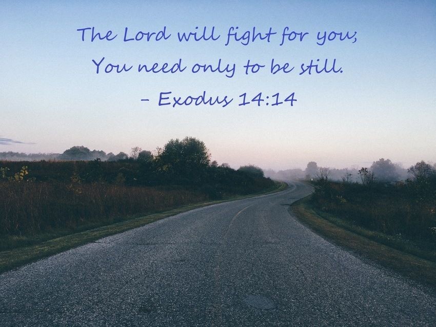 lord-fight-for-you