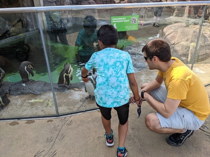 ben-jp-penguins